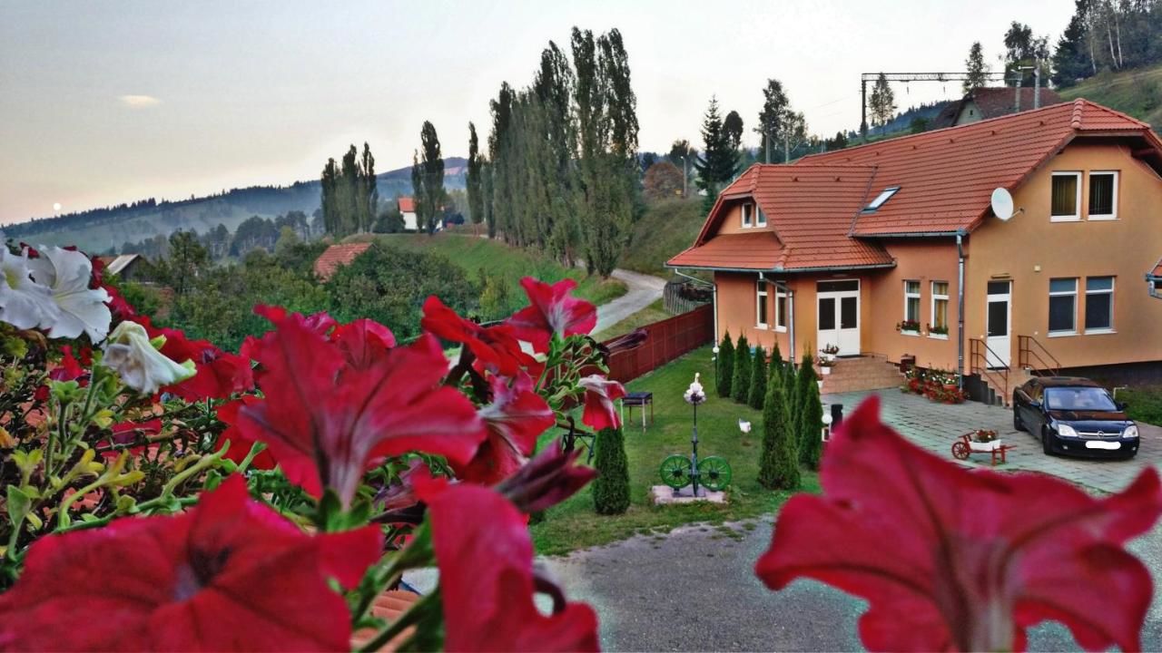 Отели типа «постель и завтрак» Picnic Panzio Lunca de Sus
