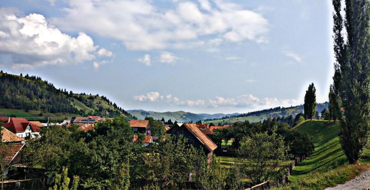 Отели типа «постель и завтрак» Picnic Panzio Lunca de Sus-42