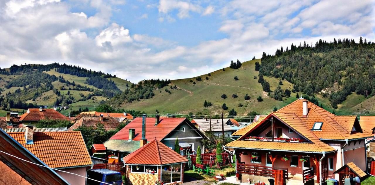 Отели типа «постель и завтрак» Picnic Panzio Lunca de Sus-43