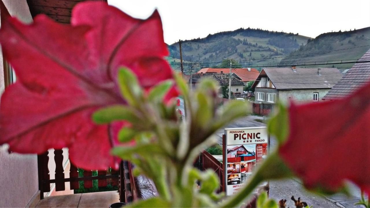 Отели типа «постель и завтрак» Picnic Panzio Lunca de Sus